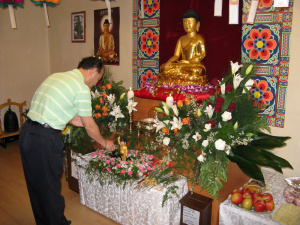 dr_buddha_02052009_13